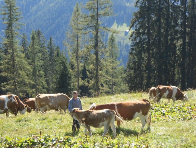 Besuche auf der Alm