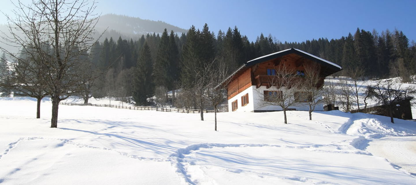 Winterurlaub beim Pehambauer in Hüttau, vor den Toren von Ski amadé